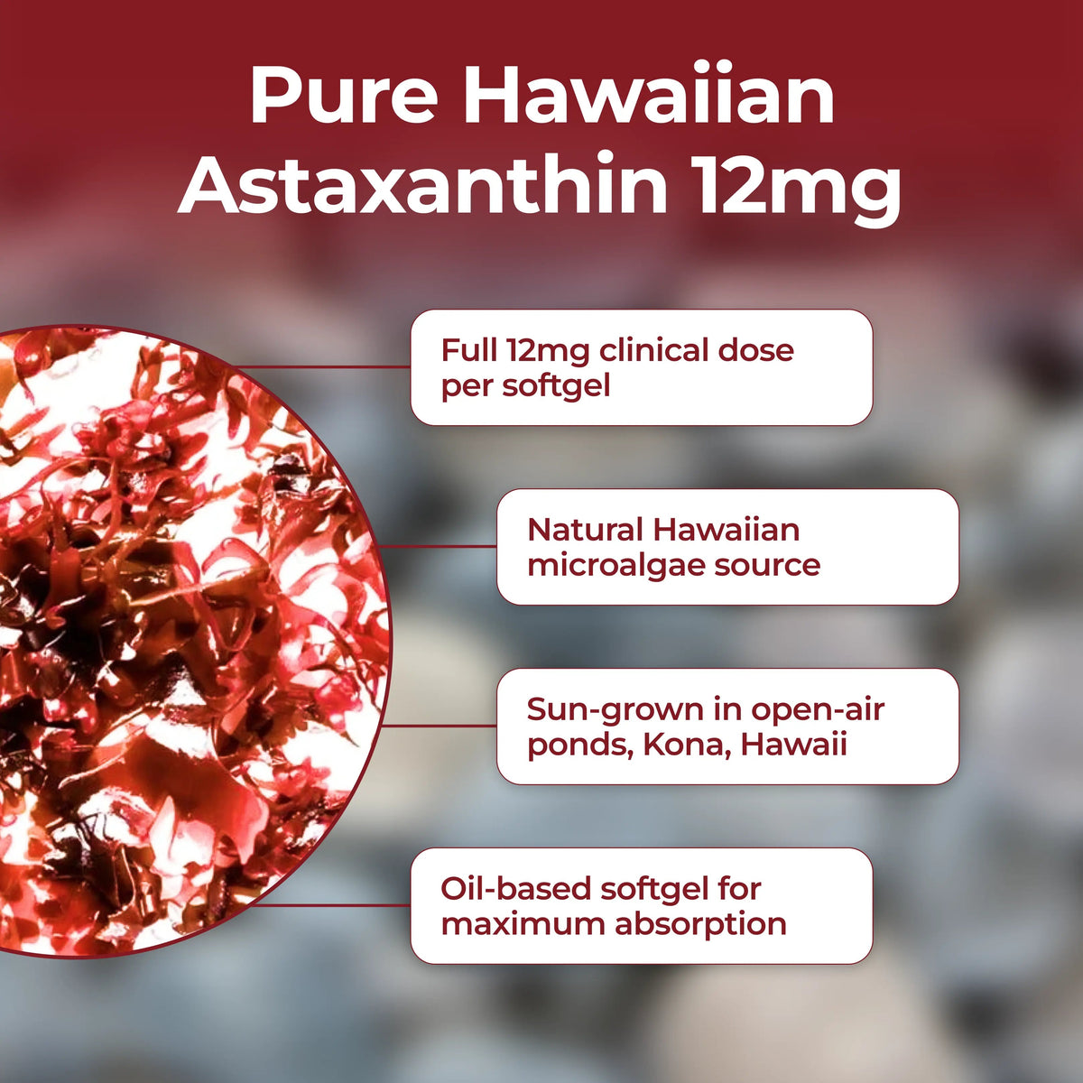 ClarityMD - Astaxanthin 12mg Softgels - Naturally Restores Circulation, Energy & Protects Vital Organs Clarity MD